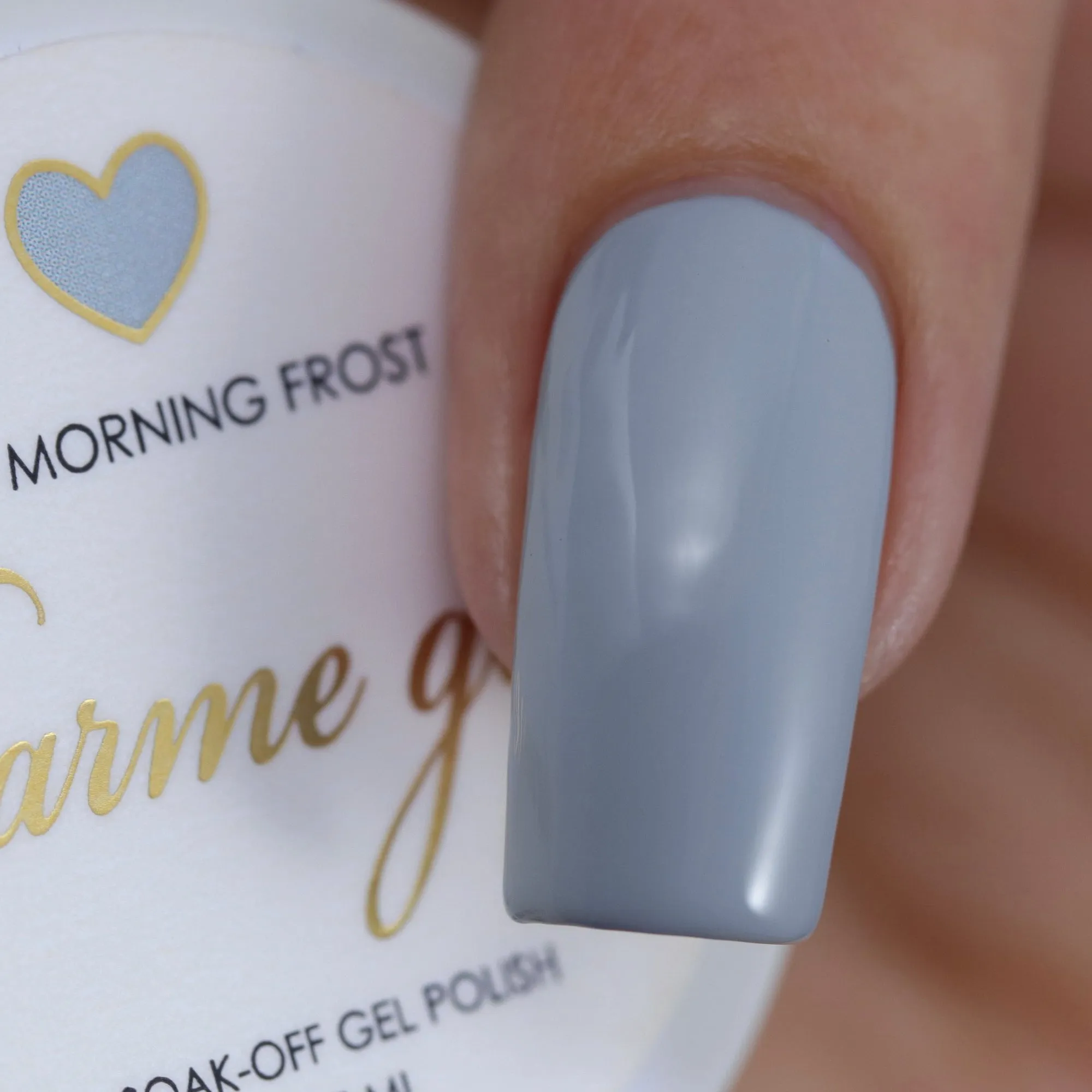 Charme Gel / 810 Morning Frost