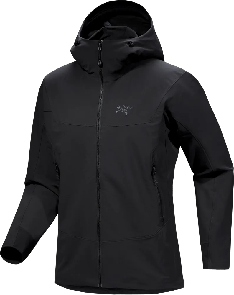 Gamma Hoody Men's