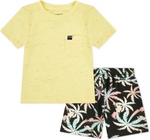 Hurley Baby-Boys And Toddler Boys' Soft Basic Cloud Slub T-shirt and Shorts 2-piece Outfit Set